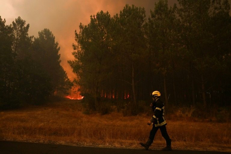 Batı Avrupa’yı Vuran Orman Yangınları